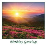 BIRTHDAY GREETINGS CARD