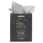 I KNOW THE PLANS MEDIUM GIFT BAG