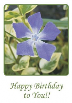 HAPPY BIRTHDAY GREETINGS CARD