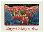 HAPPY BIRTHDAY GREETINGS CARD