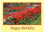 HAPPY BIRTHDAY GREETINGS CARD