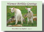 BIRTHDAY GREETINGS CARD