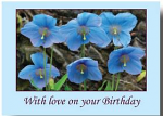 WITH LOVE BIRTHDAY GREETINGS CARD