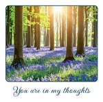 THINKING OF YOU GREETINGS CARD