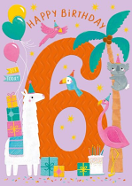 AGE 6 GIRLS GREETINNGS CARD 