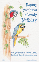 BIRTHDAY POSTCARD PACKET PARROTS PACK OF 12