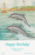 BIRTHDAY POSTCARD PACKET DOLPHIN PACK OF 12