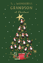GRANDSON CHRISTMAS CARD