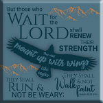 EAGLES WINGS MAGNET