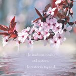 BLOSSOM & WATER: PSALM 23:2-3