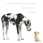 TALL DOG & PUPPY: GENESIS 28:15