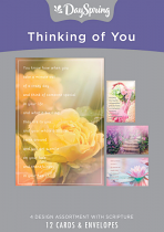 THINKING OF YOU BOX OF 12