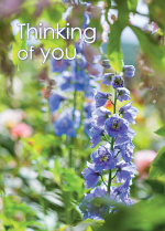 THINKING OF YOU CARD