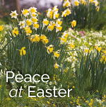 PEACE AT EASTER EASTER CARDS PACK OF 5