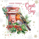 COMPASSION CHARITY CARDS: ROBIN ON POSTBOX (10 PACK)