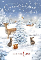 GRANDCHILDREN CHRISTMAS CARD