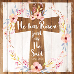 HE HAS RISEN PAACK OF 4 GREETINGS CARD 