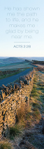 LEONARD SMITH BOOKMARK DRY STONE WALL