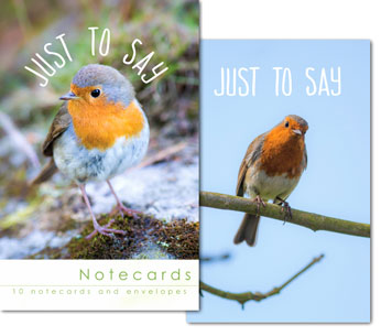 ROBINS JUST TO SAY NOTELETS PACK OF 10