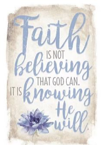 WALL PLAQUE FAITH IS NOT 