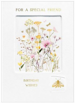 SPECIAL FRIEND BIRTHDAY CARD