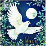 MOONLIT DOVE CHRISTMAS CARDS 
