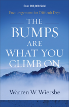 THE BUMPS ARE WHAT YOU CLIMB ON