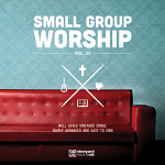 SMALL GROUP WORSHIP VOL 2 CD & DVD