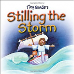 STILLING THE STORM BOARD BOOK