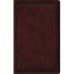 ESV LARGE PRINT VALUE THINLINE BIBLE