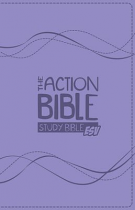 ESV ACTION BIBLE STUDY BIBLE